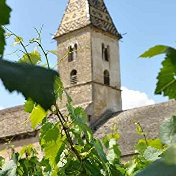 Escapades dans le vignoble - Circuit Bourgogne - 1/2 journée - DIJON