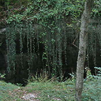 Grotte de la Baume Noire - FRETIGNEY-ET-VELLOREILLE