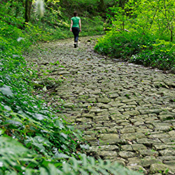 Voie Romaine de Montagna - MONTAGNA LE RECONDUIT