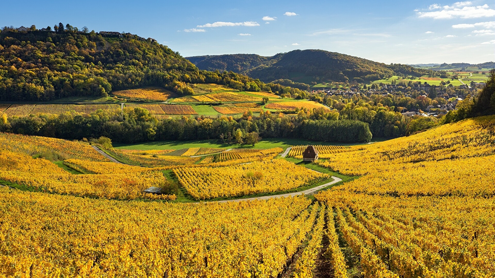 Le Vignoble - 6R