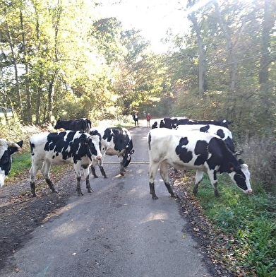 Ferme Métairie Houard