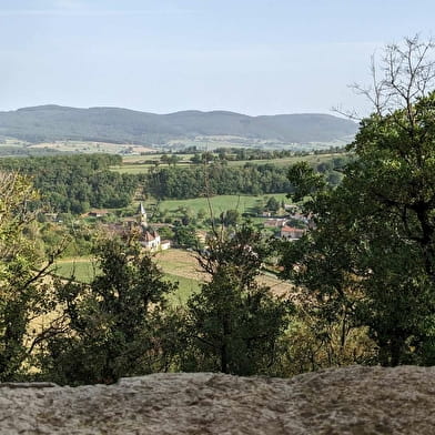 Visite du chateau de Lourdon