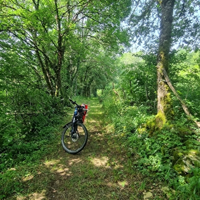 Circuit VTTAE n°10 (rouge) Coligny - Plateau de Vergongeat