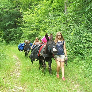 Donkey Ane, les ânes du Petit bonheur 21