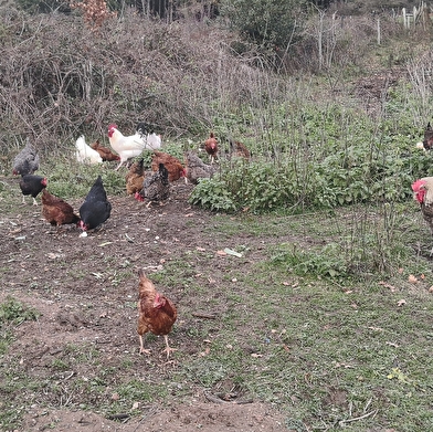 La Ferme des Grands Champs