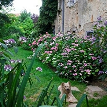 Jardins - Association les Amis du jardin et de la collection végétale 'Annabelle' - RAINANS