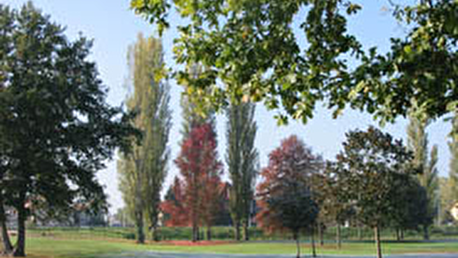 Parc du Moulin Liron - Docteur Drapier