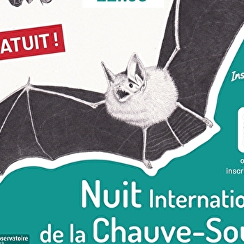 Nuit Internationale de la Chauve-souris - CORMOT-VAUCHIGNON