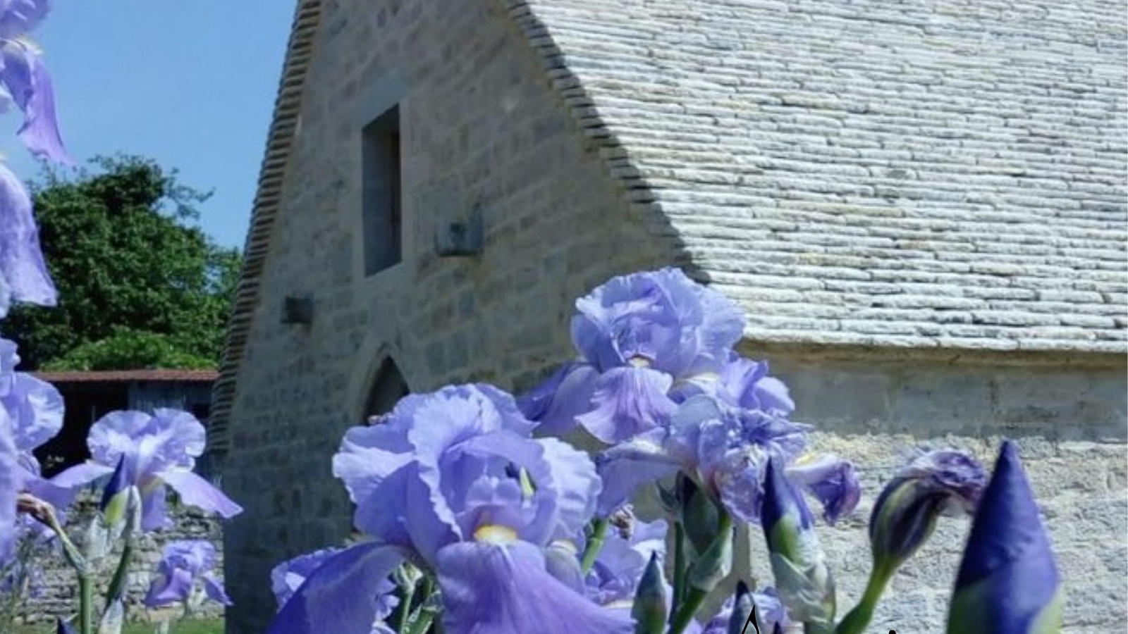 Lucioles