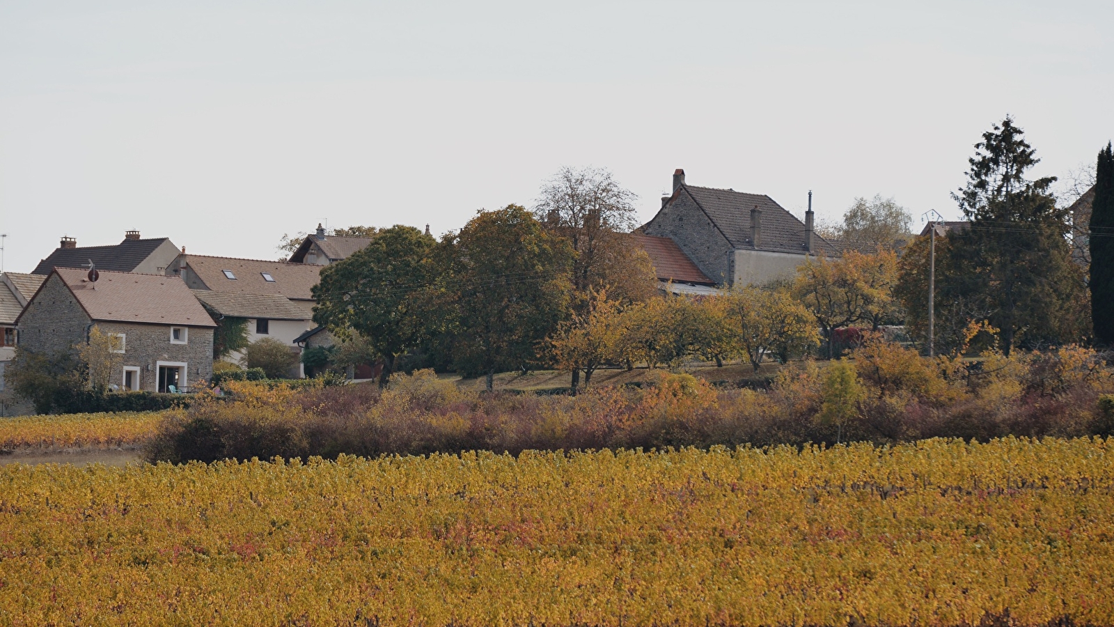 Gîte Aux Vignes de Marey