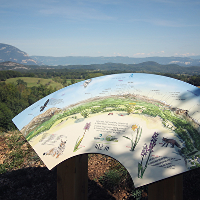 Parcours trail de Contrevoz : circuit vert 5 km