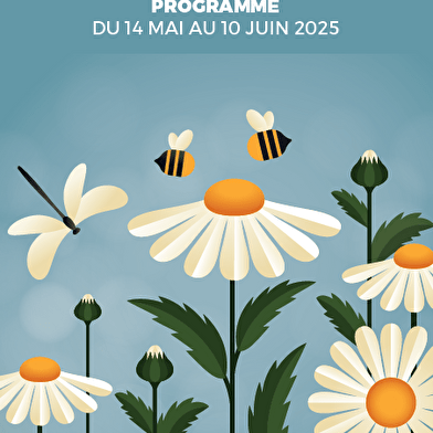 Programme Cinéma Les Arts