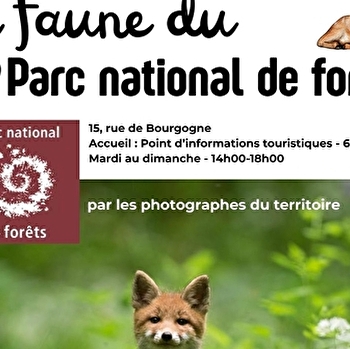 Exposition sur la faune du Parc national de forêts - GRANCEY-LE-CHATEAU-NEUVELLE
