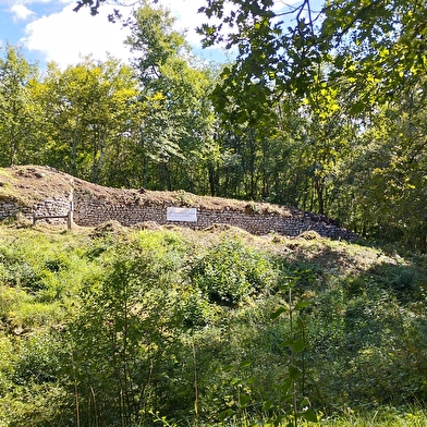 Visite du chantier Rempart - Camp Gallo-Romain de Cora