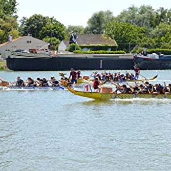 Challenge Dragon Boat - SAINT-JEAN-DE-LOSNE