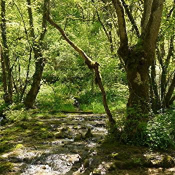 Sources de l'Ignon - PONCEY-SUR-L'IGNON