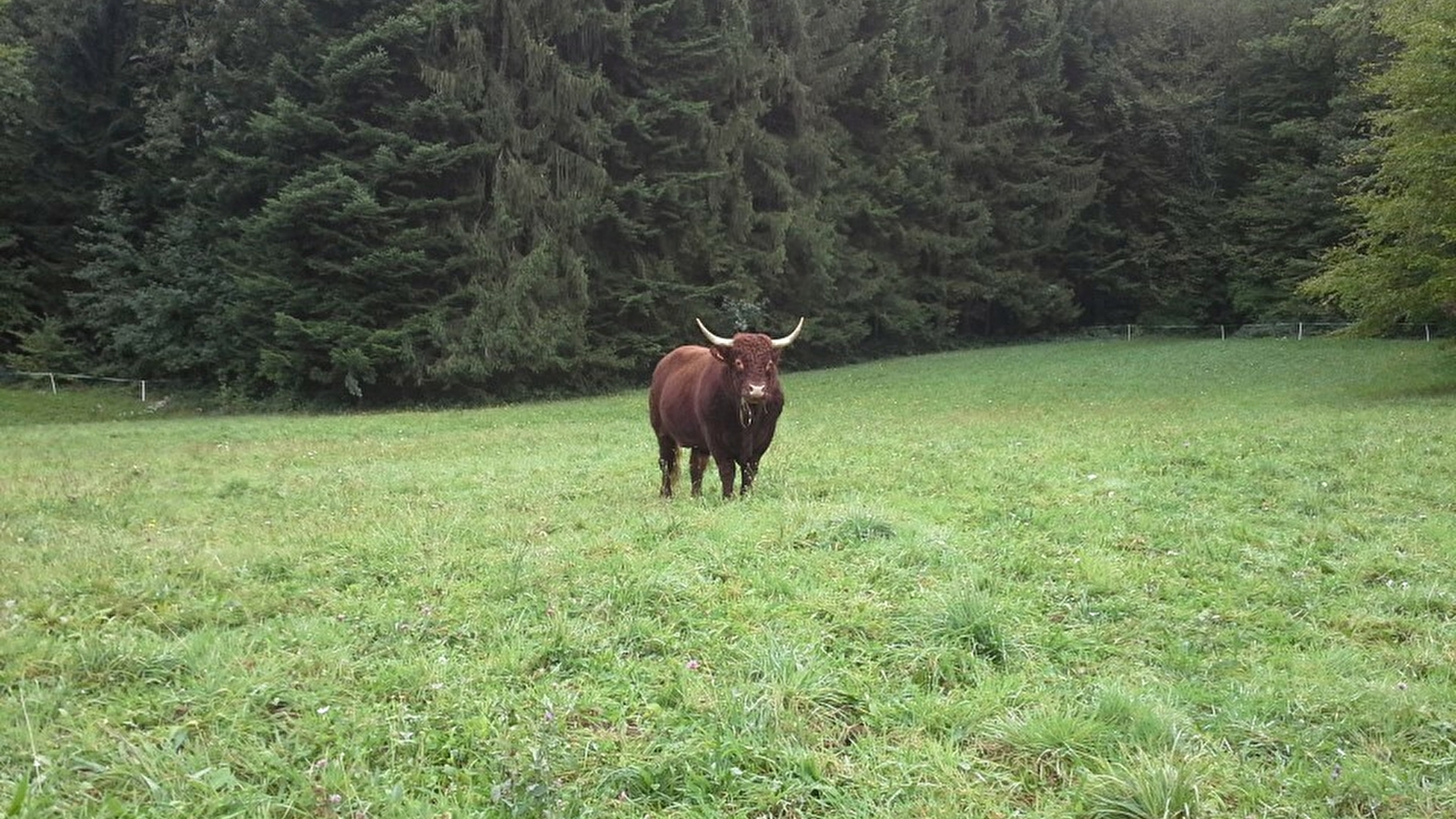 La Ferme de la Côte