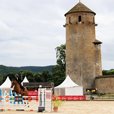 Concours Hippique - Pony games international