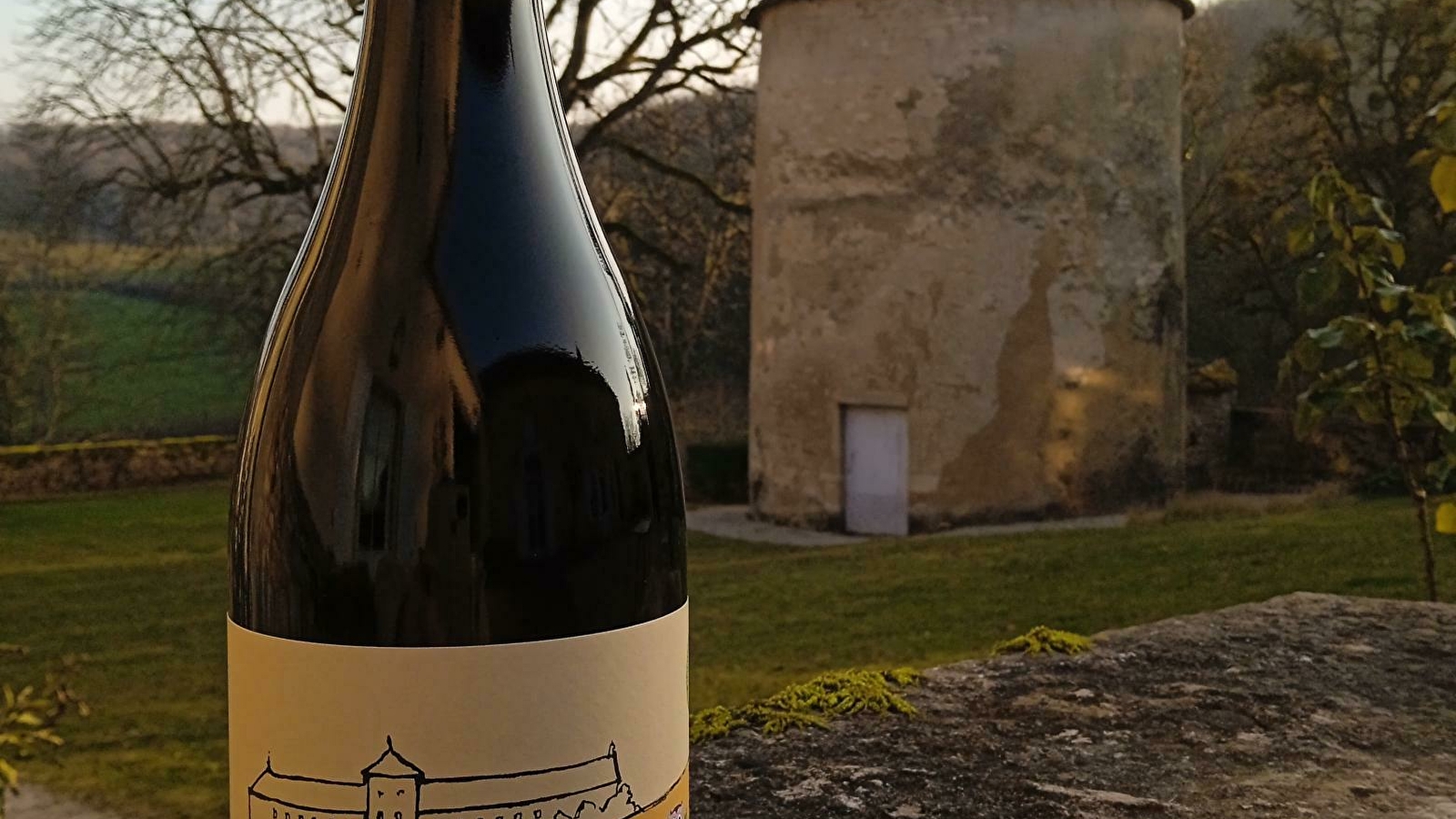 Initiation et dégustation vins de terroir