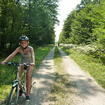 Balade à vélo Vermenton - Grottes d'Arcy - Voutenay - AUXERRE