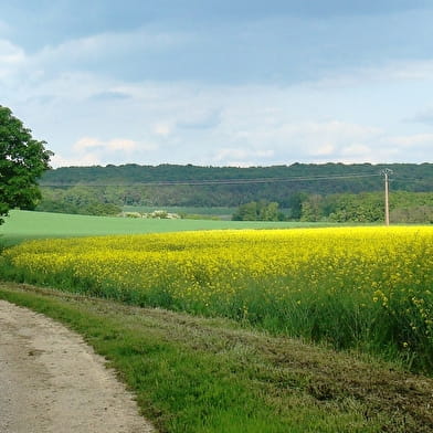 Sentier d'interprétation du Magny