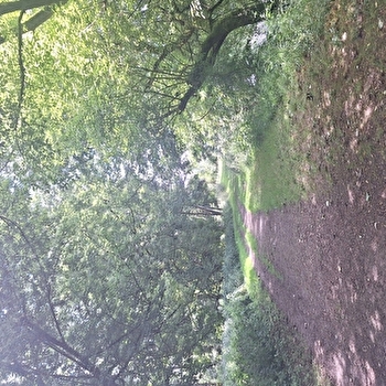 Ile des forges - PESMES