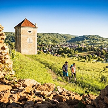 Balade en Arbois - ARBOIS