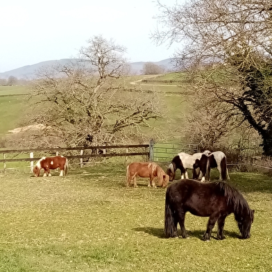 La petite ferme dans la montagne