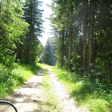 Circuit VTTAE - Les Hauts de Lajoux
