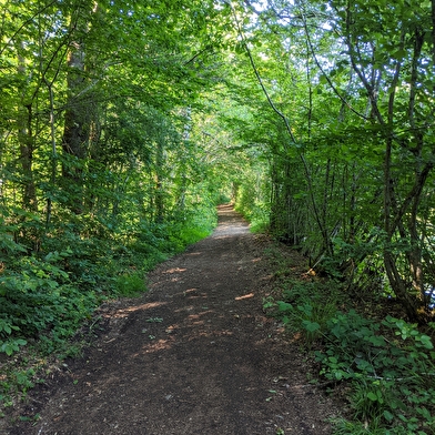 Le Grand Rosbeck (petit circuit)