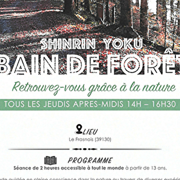 Bain de forêt (Shinrin yoku) - LE FRASNOIS