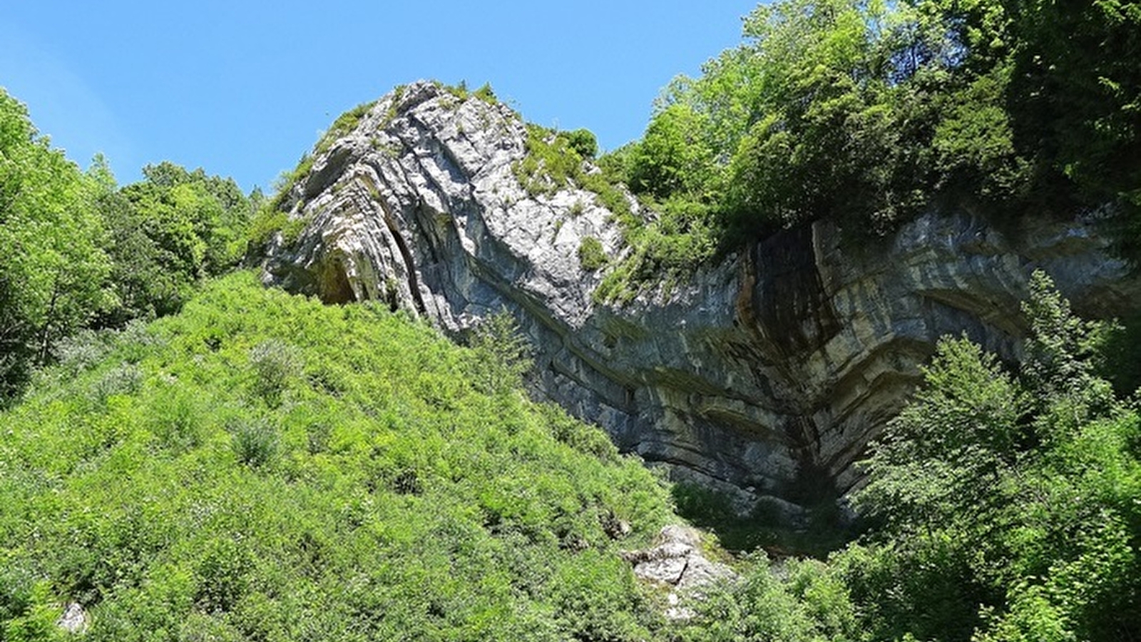 Au coeur du Parc naturel regional du Haut-Jura