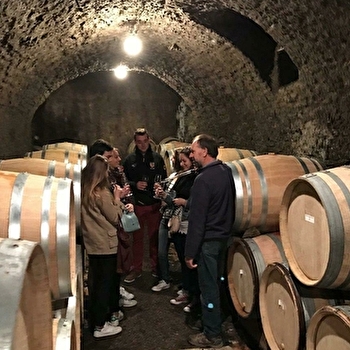 Safari tours - BEAUNE