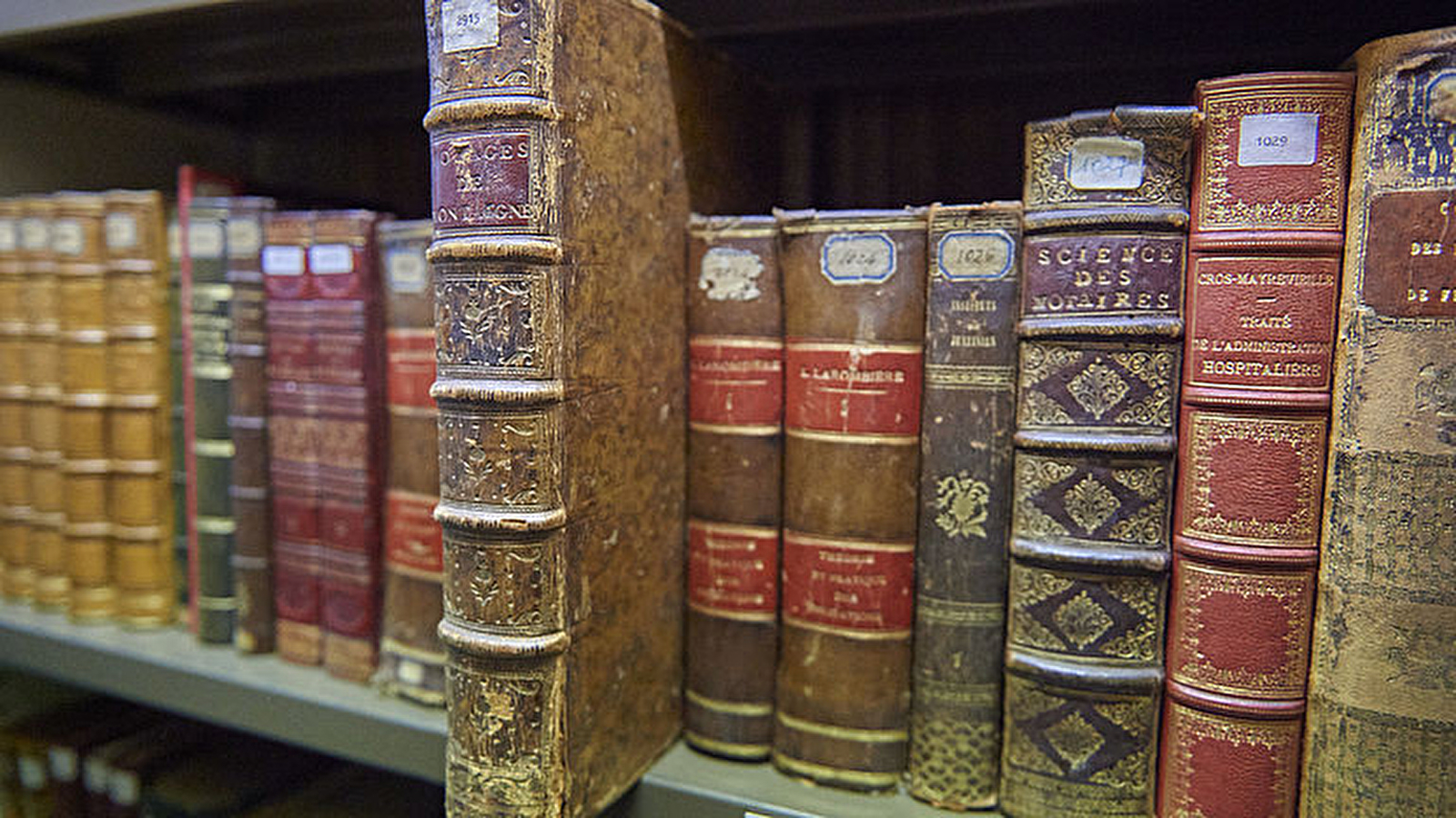 Découverte du fonds patrimonial