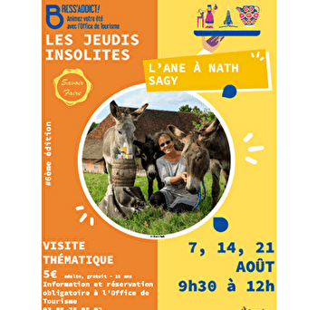 Jeudis insolites : L'Âne à Nath - SAGY