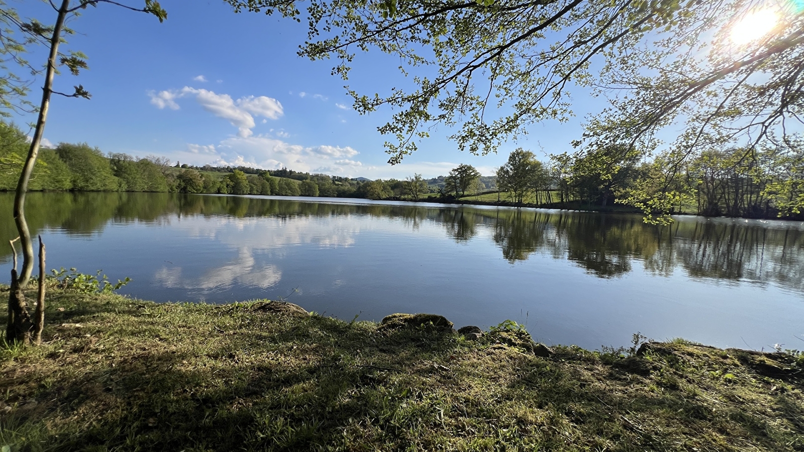 Etang de la Vernée