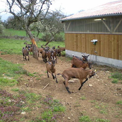 Ferme Cul de Sac