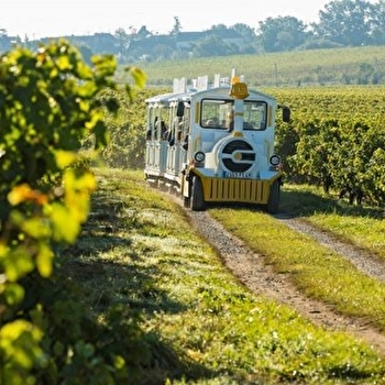 Portes Ouvertes des Vignerons des Terres Secrètes - PRISSE