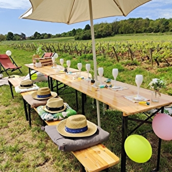 Visite et pique-nique dans les vignes - Vitteaut-Alberti - RULLY