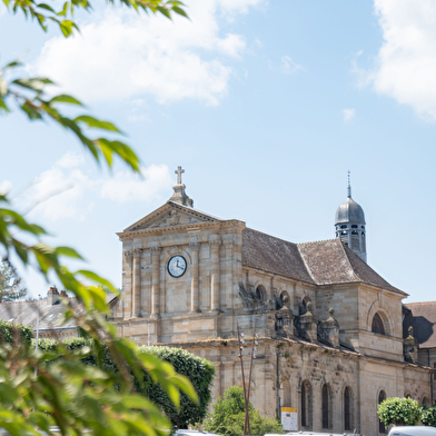 Visite d'Autun avec guide conférencier + place de spectacle Augustodunum 