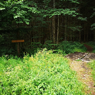 Les 3 cascades - Parcours de trail n°16