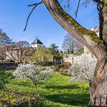 Visite guidée des remparts :les arbres sur les remparts - BEAUNE