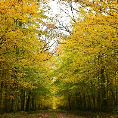 Les Méandres de la Vrille