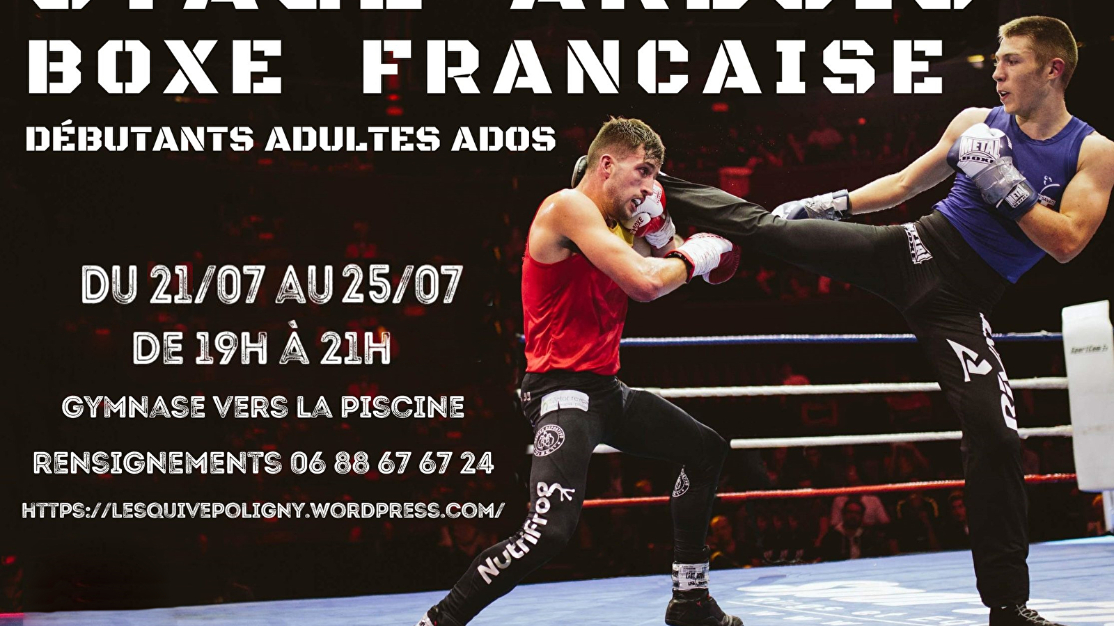 Boxe française