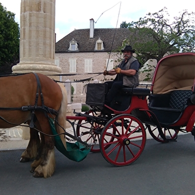 Attelage Beaune Passion