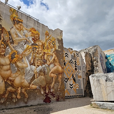 IMAGINAIRES KRÉATIFS / Visions hospitalières / Visions Minérales