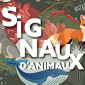 Exposition « « Signaux d’animaux : les différents langages dans la nature » - CUISERY