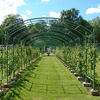 Rendez-vous aux Jardins au château de Montigny-sur-Aube - MONTIGNY-SUR-AUBE