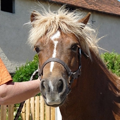 Centre equestre equita-saône