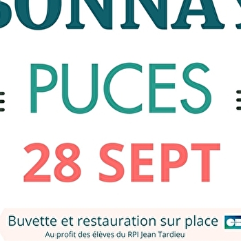 Les puces de Bonnay : le vide grenier de l’automne, - BONNAY-SAINT-YTHAIRE